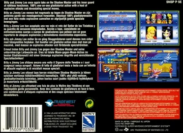 Double Dragon V - The Shadow Falls (Europe) box cover back